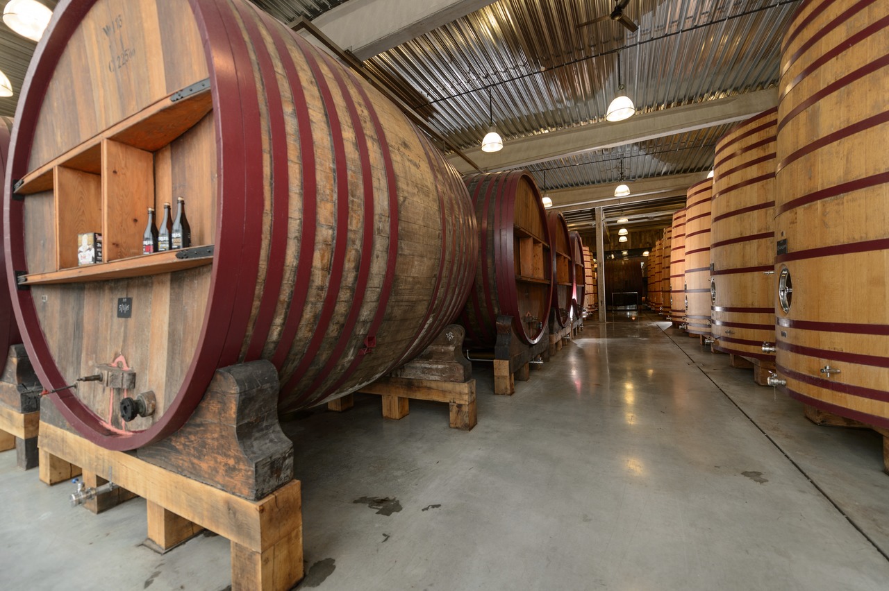 De Brabandere possesses a unique foeder hall, with foeder here meaning big oak barrels each holding 220 hectolitres. 